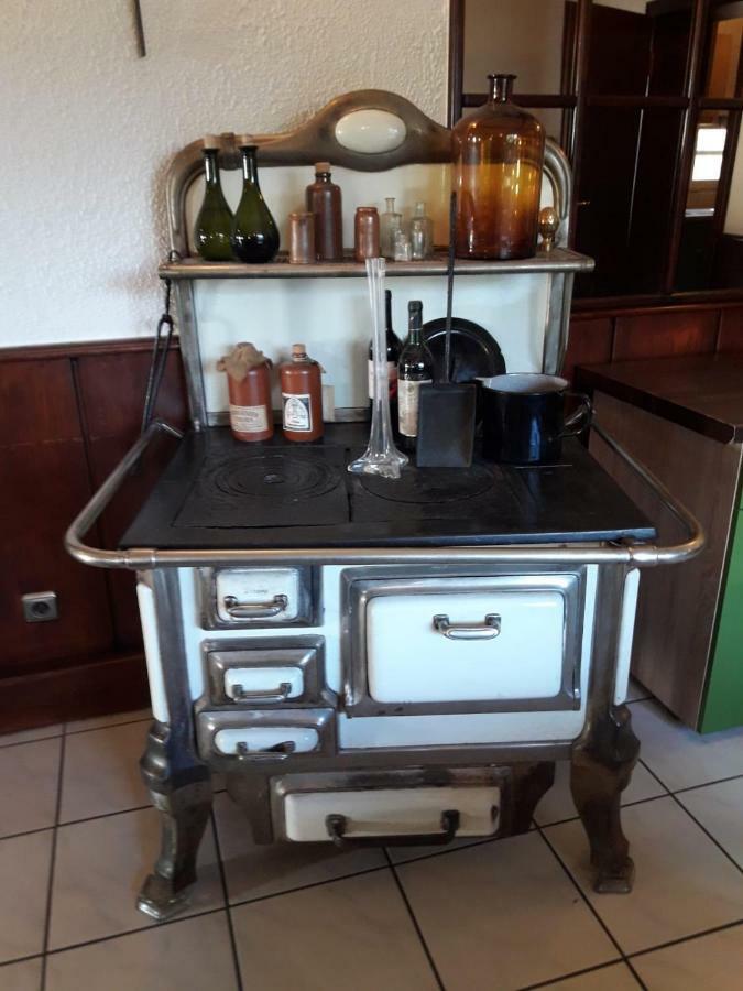 Ferienwohnung Villa Del Viola Leonardo Apartment هاينسبرغ المظهر الخارجي الصورة
